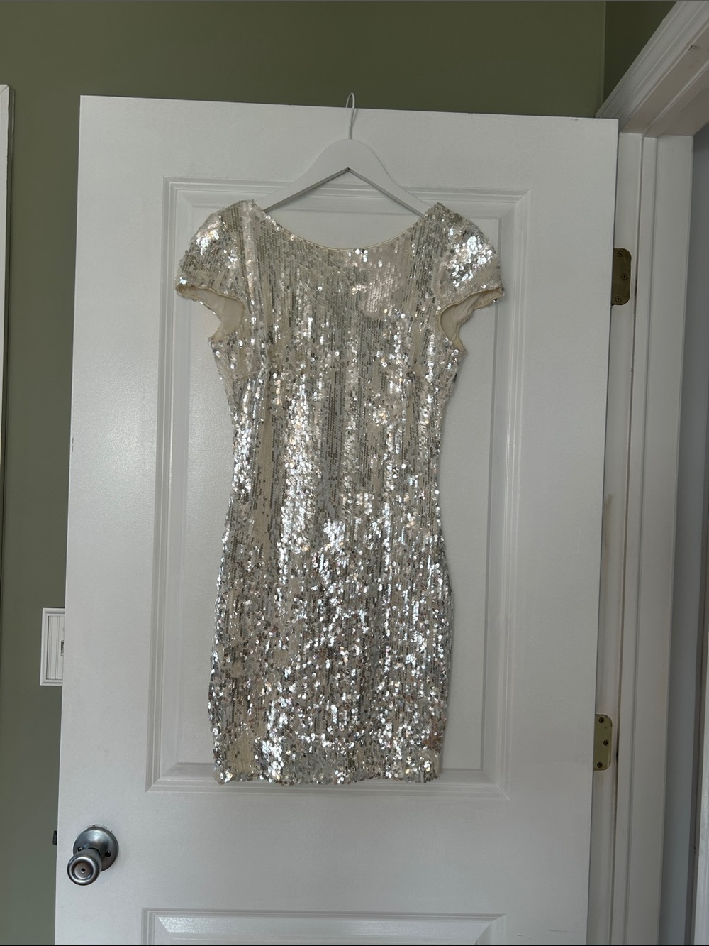 Dress the Population Silver Sequin Mini Dress